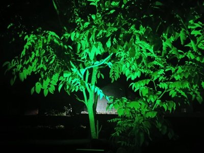 Solar garden light